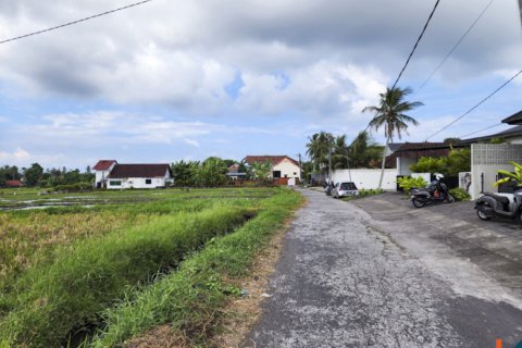 Land in Kediri, Tabanan, Bali (14034) 9