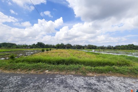 Land in Kediri, Tabanan, Bali (14034)