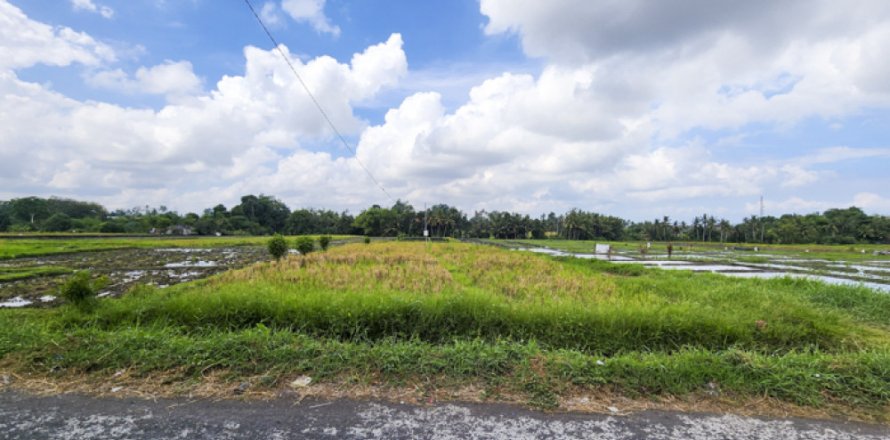 Land in Kediri, Tabanan, Bali (14034)