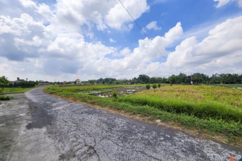 Land in Kediri, Tabanan, Bali (14034) 10