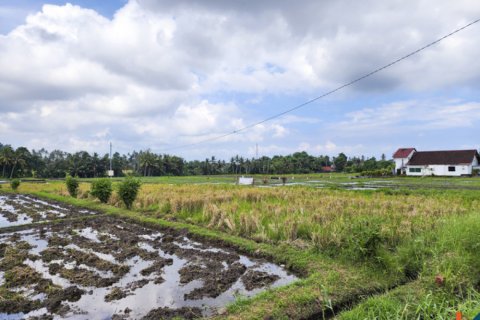 Land in Kediri, Tabanan, Bali (14034) 4