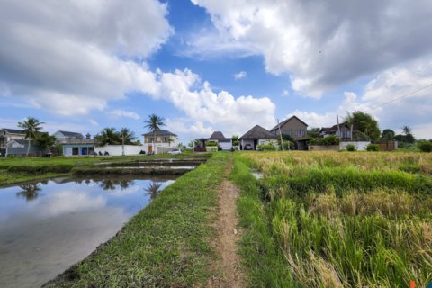 Land in Kediri, Tabanan, Bali (14034) 6