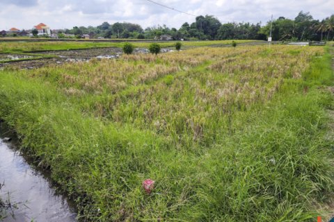 Land in Kediri, Tabanan, Bali (14034) 3
