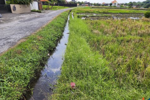 Land in Kediri, Tabanan, Bali (14034) 7