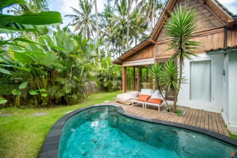 2 bedrooms Villa in Ubud, Gianyar, Bali (14037) 2