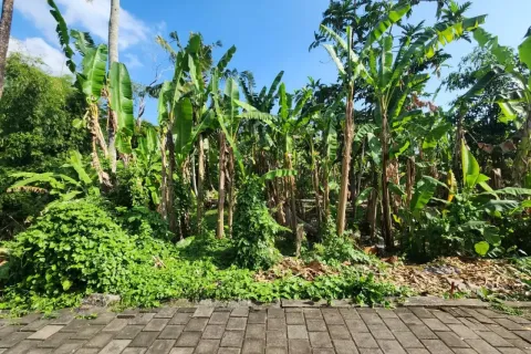 Land in Kediri, Tabanan, Bali (14140) 7