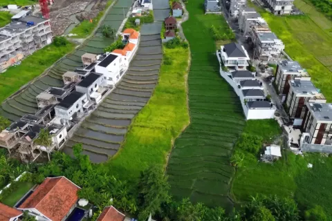 Land in Pererenan, Mengwi, Badung, Bali (14139) 4