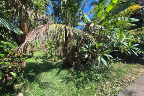 Land in Kediri, Tabanan, Bali (14142) 2