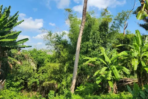 Land in Kediri, Tabanan, Bali (14141) 5
