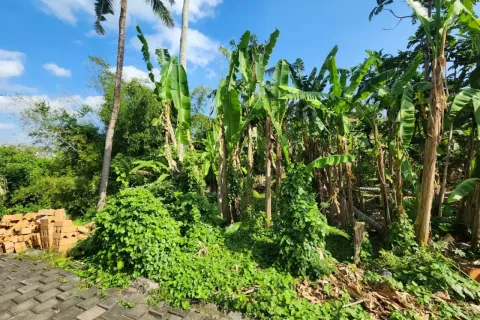 Land in Kediri, Tabanan, Bali (14141) 4