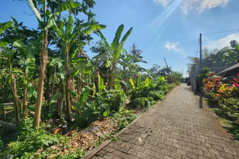Land in Kediri, Tabanan, Bali (14141) 3