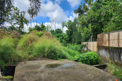 Land in Tumbak Bayuh, Mengwi, Badung, Bali (11845) 4
