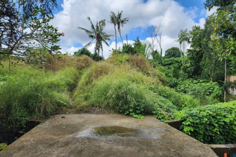 Land in Tumbak Bayuh, Mengwi, Badung, Bali (11845) 2