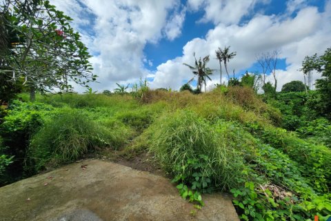 Land in Tumbak Bayuh, Mengwi, Badung, Bali (11845) 3