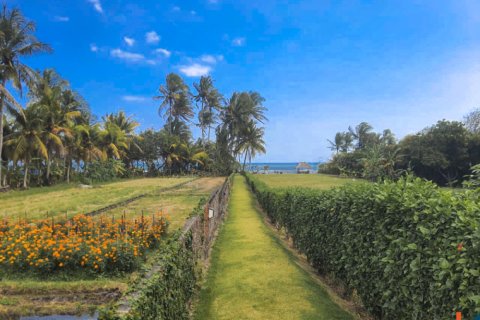 Land in Tabanan, Bali (11957) 11