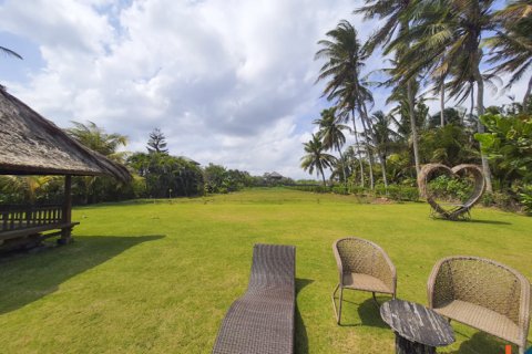 Land in Tabanan, Bali (11957) 3