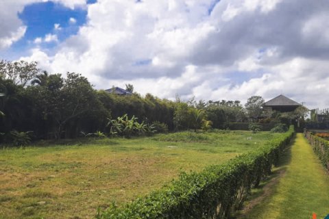 Land in Tabanan, Bali (11957) 8