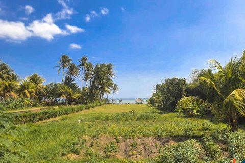 Land in Tabanan, Bali (11957) 9