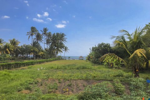 Land in Tabanan, Bali (11957) 5