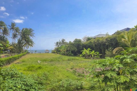 Land in Tabanan, Bali (11957) 12