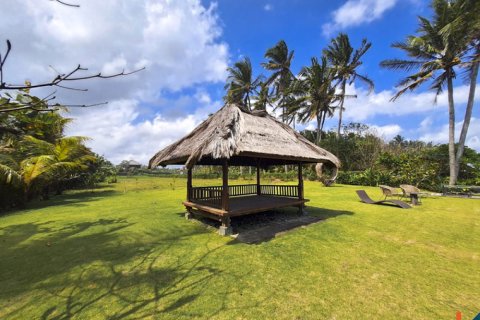 Land in Tabanan, Bali (11957) 7
