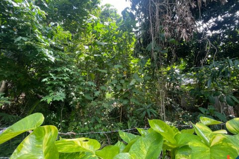 Land in Seminyak, Badung, Bali (11958)