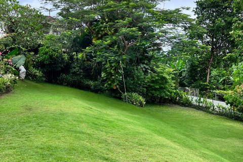 5 bedrooms Villa in Canggu, Badung, Bali (15203) 3