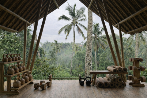 2 bedrooms Villa in Ubud, Gianyar, Bali (14215) 5