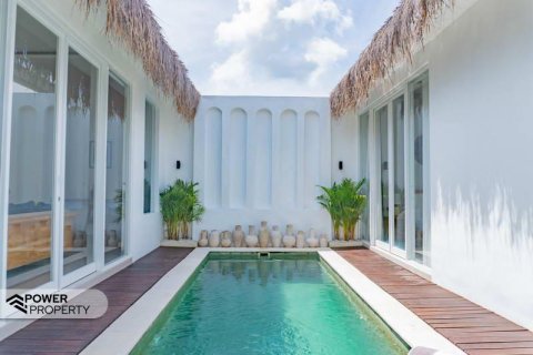 Вилла с 2 спальнями в Семиньяк, Бадунг,  (9278) 6