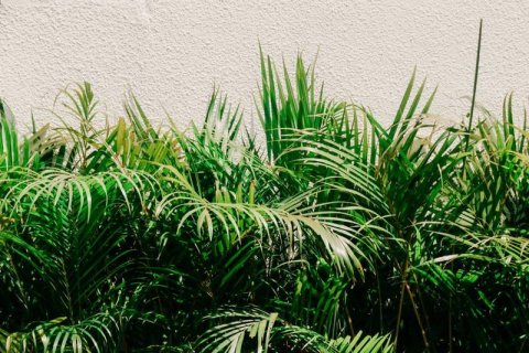 Вилла с 2 спальнями в Семиньяк, Бадунг,  (9278) 2