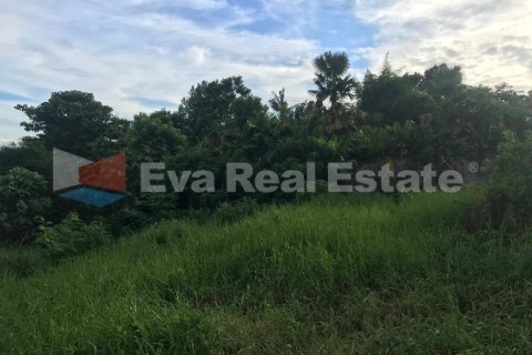 500m2 Land in Pererenan, Mengwi, Badung, Bali (2472) 2