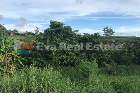 500m2 Land in Pererenan, Mengwi, Badung, Bali (2472) 3