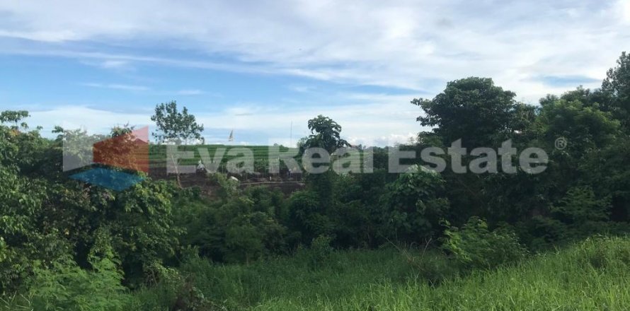 500m2 Land in Pererenan, Mengwi, Badung, Bali (2472)