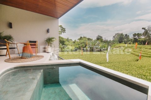 2 bedrooms Villa in Canggu, Badung, Bali (2473) 13