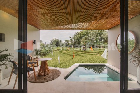 2 bedrooms Villa in Canggu, Badung, Bali (2473) 12