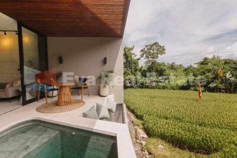 2 bedrooms Villa in Canggu, Badung, Bali (2473) 15