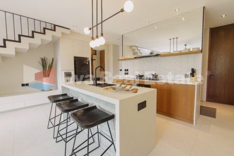 2 bedrooms Villa in Canggu, Badung, Bali (2473) 6