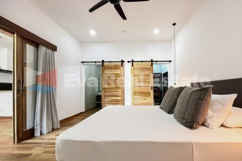 3 bedrooms Villa in Kerobokan, Badung, Bali (2471) 21