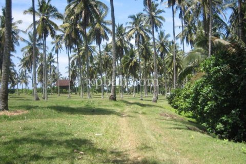 24800m2 Land in Tabanan, Bali (13915) 6