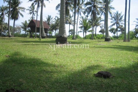 24800m2 Land in Tabanan, Bali (13915) 10