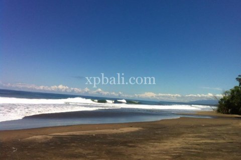 24800m2 Land in Tabanan, Bali (13915) 2