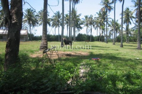 24800m2 Land in Tabanan, Bali (13915) 8