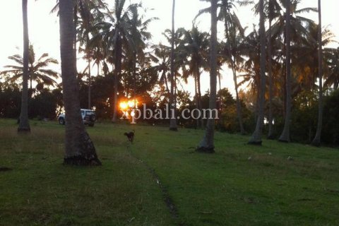 24800m2 Land in Tabanan, Bali (13915) 4