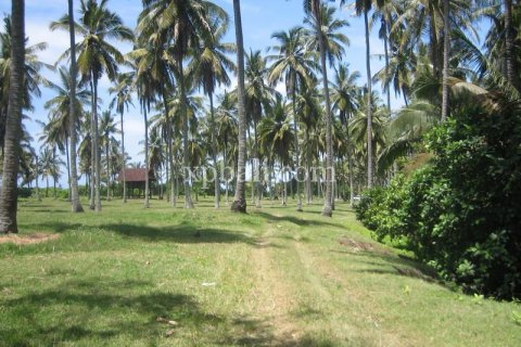 24800m2 Land in Tabanan, Bali (13915) 9