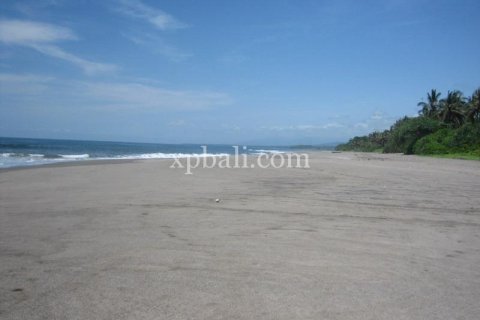 24800m2 Land in Tabanan, Bali (13915) 3