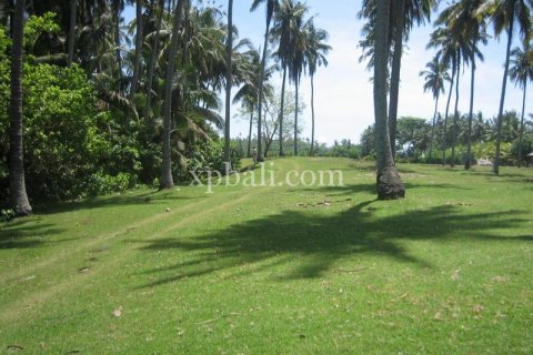 24800m2 Land in Tabanan, Bali (13915) 5
