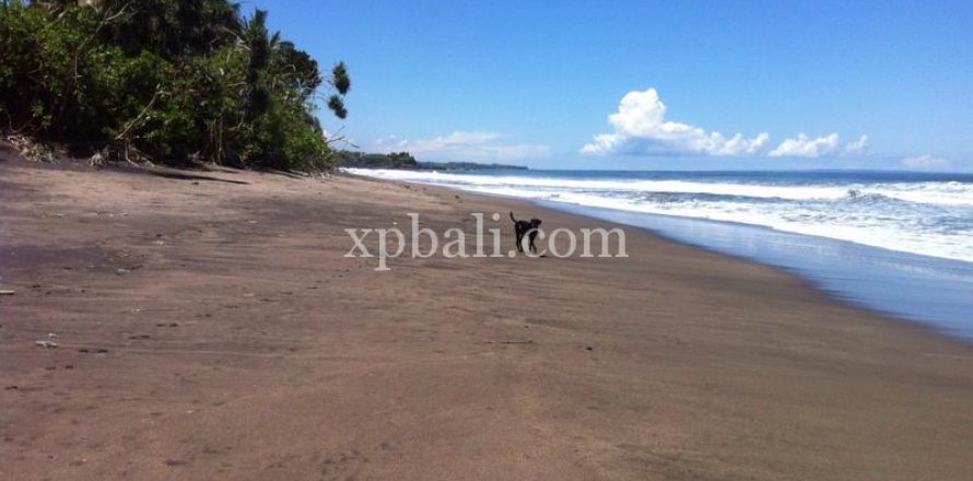 24800m2 Land in Tabanan, Bali (13915)