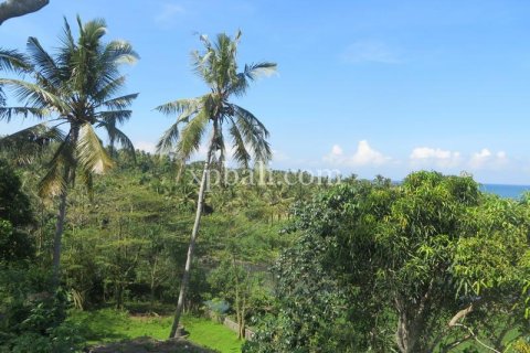 9335m2 Land in Negara, Jembrana, Bali (13914)