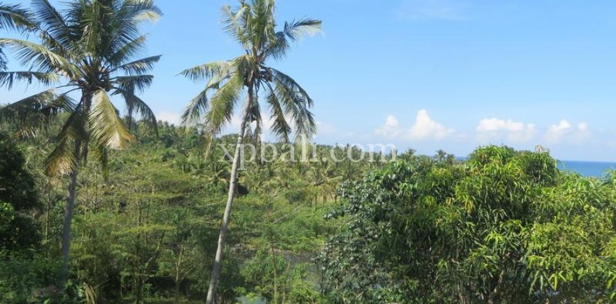 9335m2 Land in Negara, Jembrana, Bali (13914)