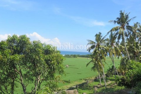 9335m2 Land in Negara, Jembrana, Bali (13914) 8